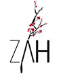 Zah Design