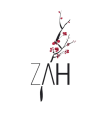 Zah Design